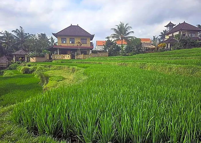 Dukuh Village & Art