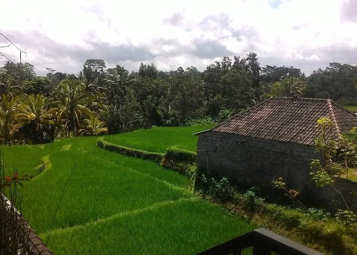 Maison d'hôtes Dukuh Village & Art